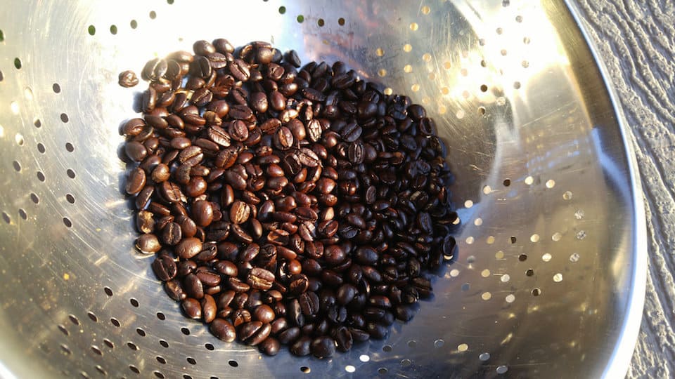 Beans cooling in colander