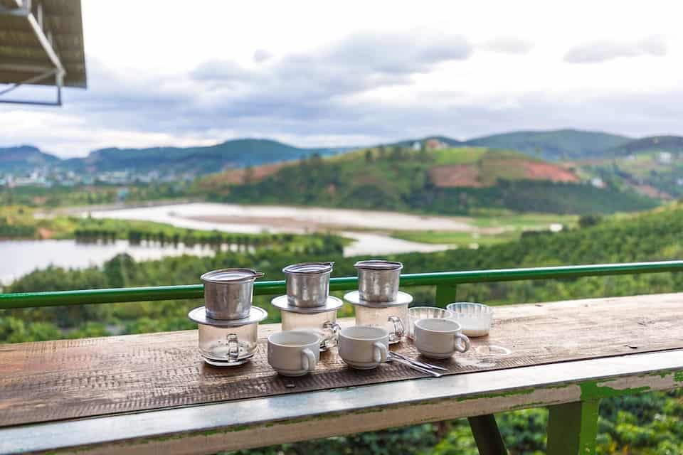 Coffee plantation in Vietnam