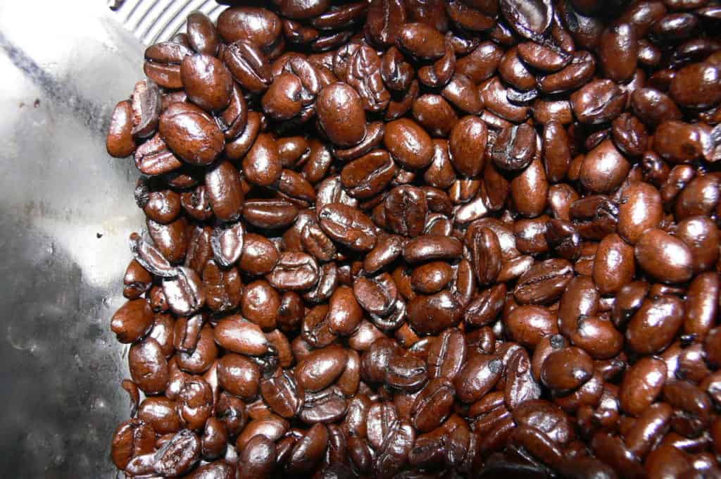 Oily coffee beans