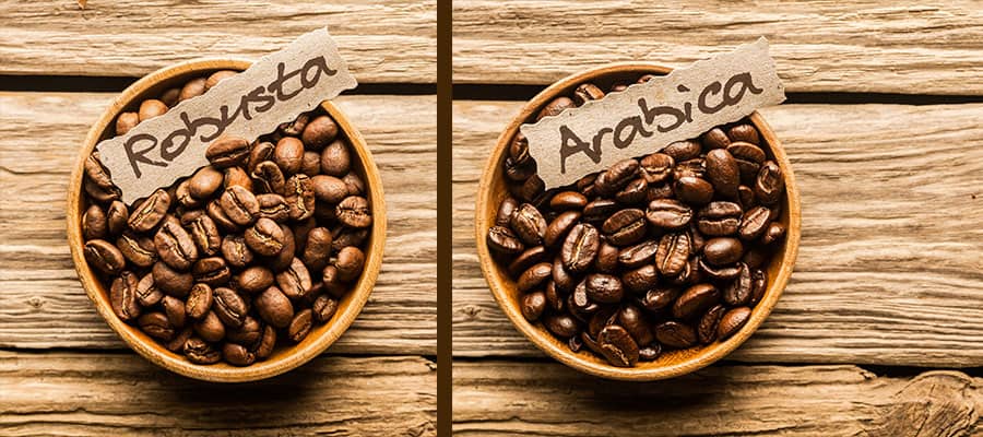 Arabica and Robusta coffee beans