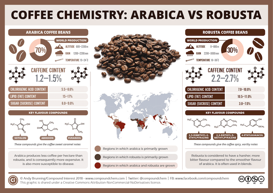 Coffee chemistry infographic