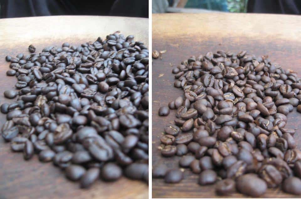 Dark roast and medium roast coffee beans