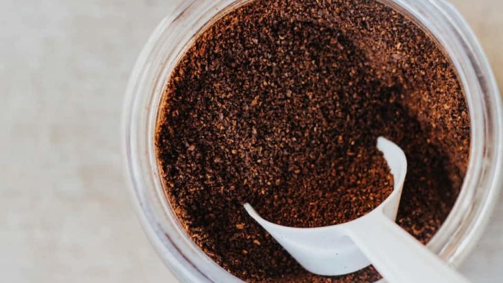 Ground coffee in a container with a scoop