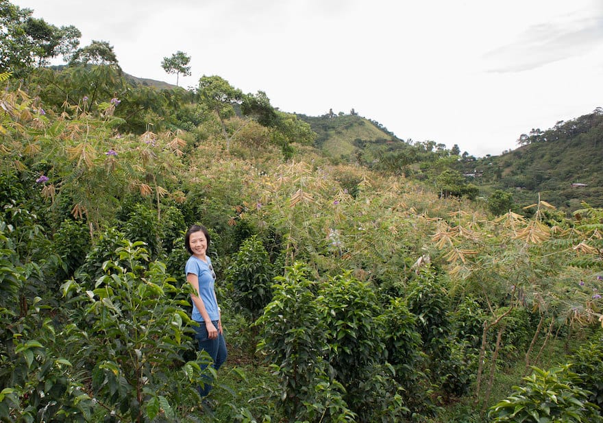 Woman standing in coffee farm
