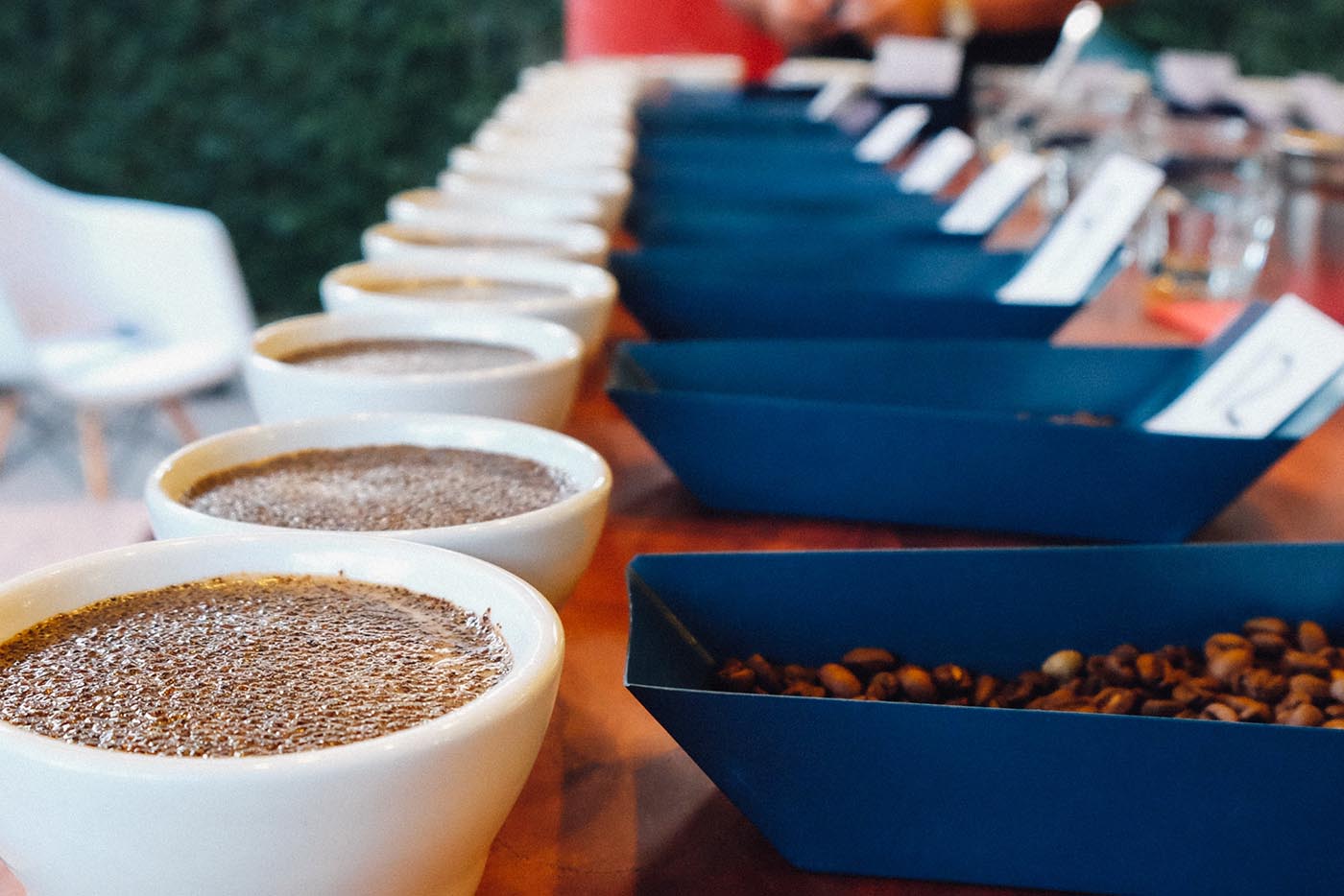 Cupping coffee after roasting