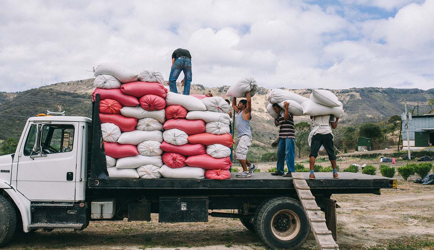 Loading coffee onto a truck for transport