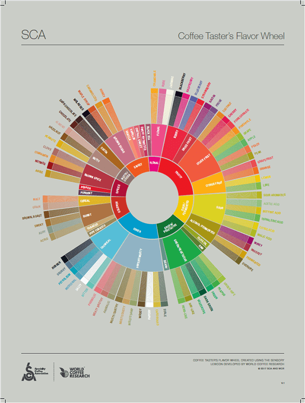 coffee taster's flavor wheel