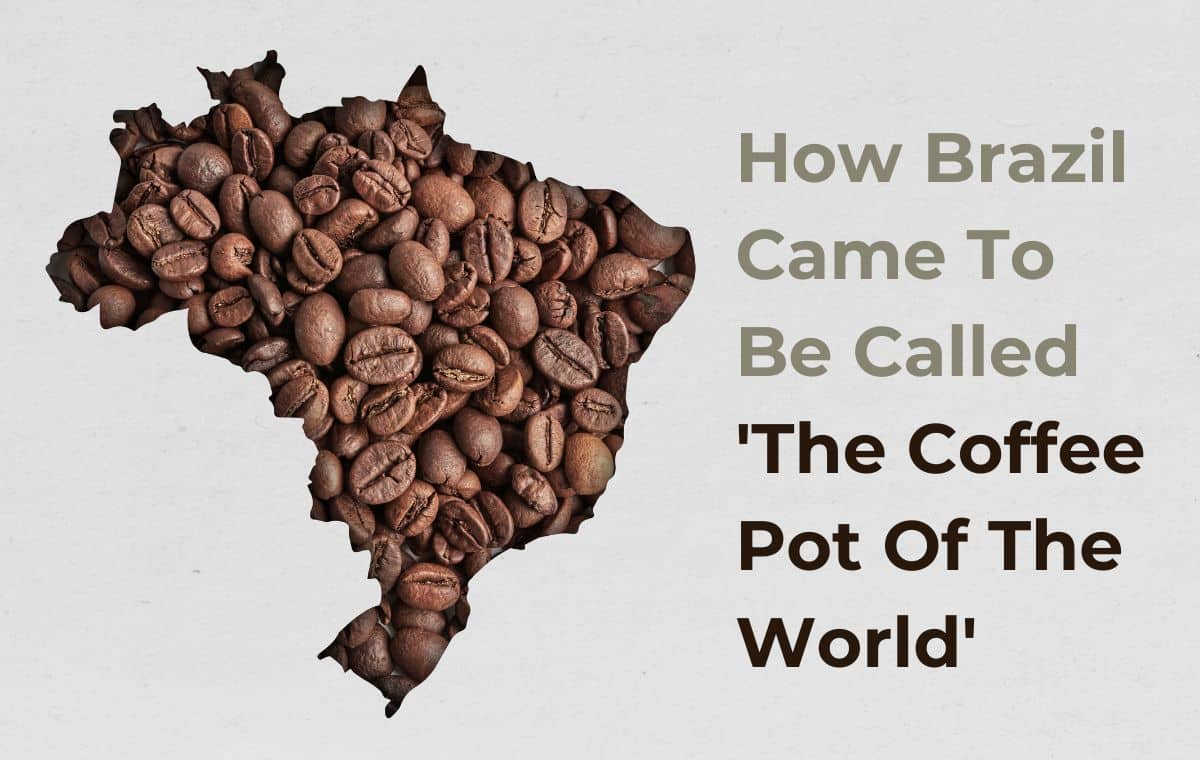 Why Brazil is Called the Coffee Pot of the World Bean Poet