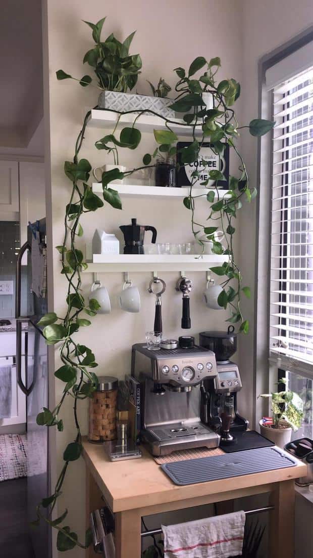 Coffee station that makes great use of surrounding wall space for shelves