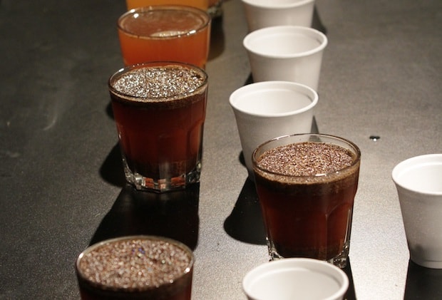 Coffee lined up in small glasses for a cupping