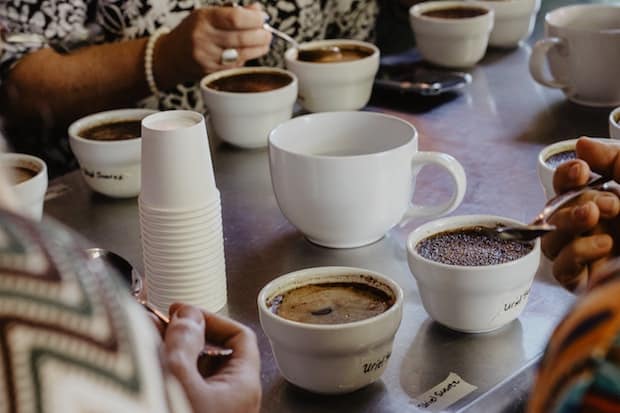 People sample cups of coffee at a long table
