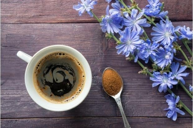 Looking down into a cup of chicory coffee with a blue chicory flower laid beside it on the table