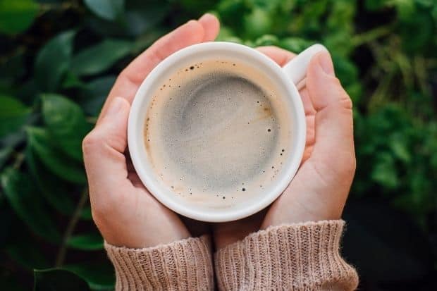 Closeup of a woman's hands holding a cup of white coffee