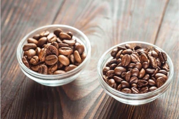 Small glass bowls full of Arabica coffee beans on left, and Robusta coffee beans on right