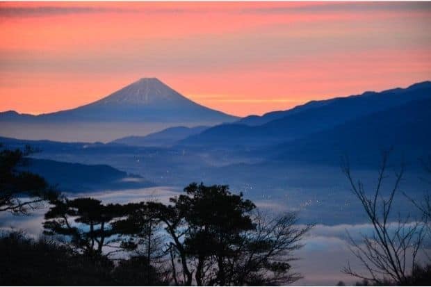 Low acid coffee brands seek out coffees grown at high altitude in volcanic soil