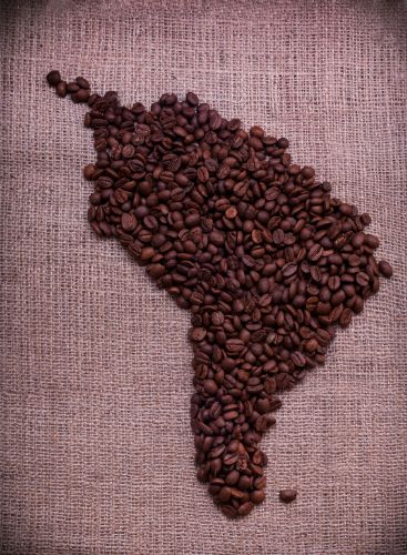 Coffee beans arranged in shape of South America