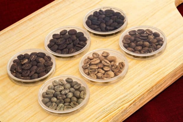 Six plates of coffee beans showing the stages of roasting your own coffee beans