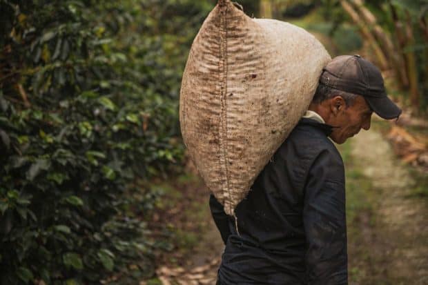 Farmer carrying sack full of some of the best coffee for French press