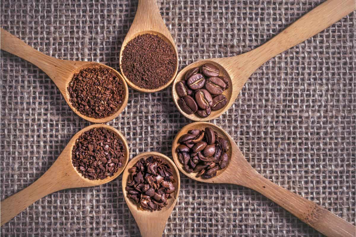 Wooden spoons full of coffee beans and coffee grounds of various grind sizes