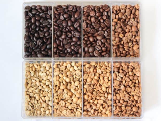 Coffee beans at eight different roast levels