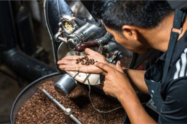 Man inspecting roasted coffee beans