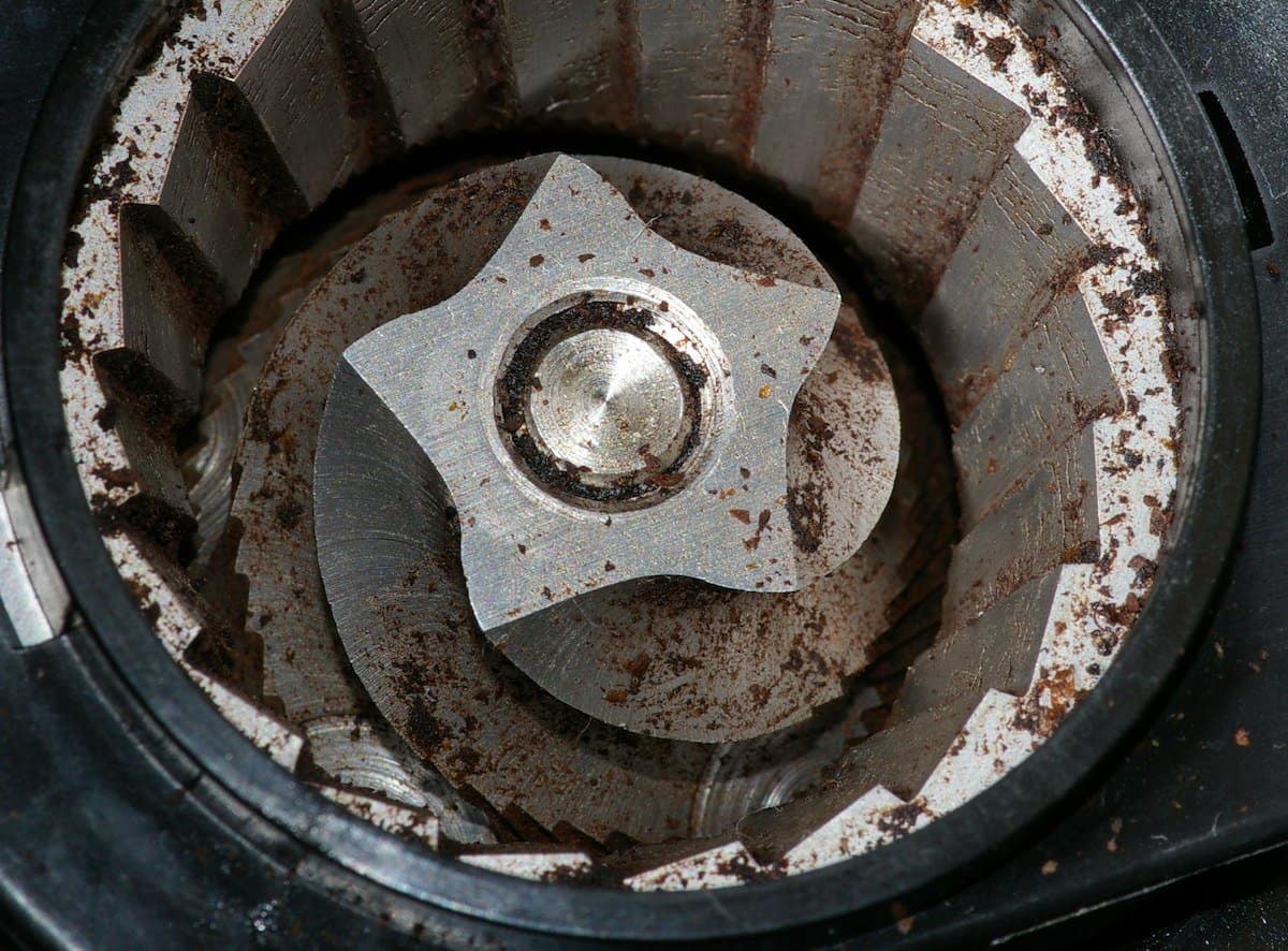 View inside a coffee grinder at its burrs