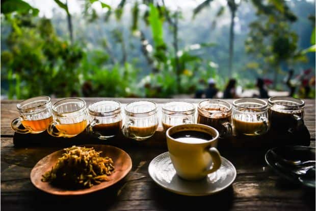 Glasses of kopi luwak coffee lined up on a rail above a jungle landscape