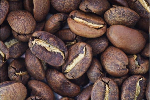 Closeup of roasted exotic Sumatra Mandheling coffee beans