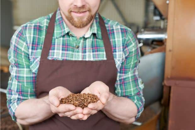 Specialty coffee roaster in a brown apron cupping coffee beans in his hands