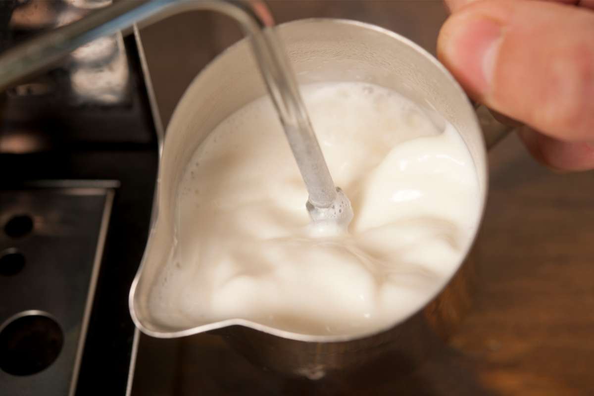 Closeup of milk being steamed in a pitcher
