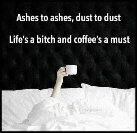 person's arm holding a cup of coffee above the covers of bed with the caption: ashes to ashes, dust to dust, life's a bitch and coffee's a must