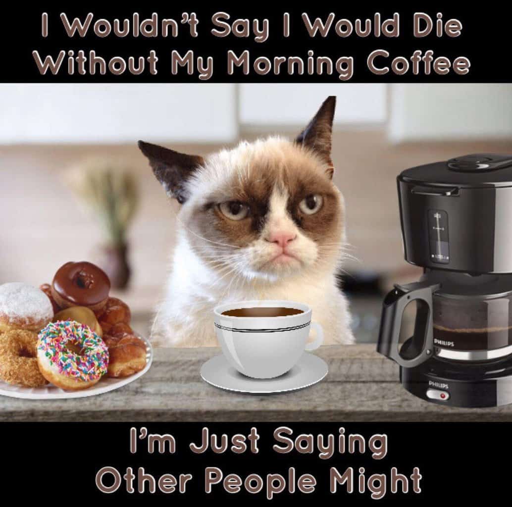 Grumpy cat in front of a cup of coffee with the caption: I wouldn't say I would die without my morning coffee, I'm just saying other people might.
