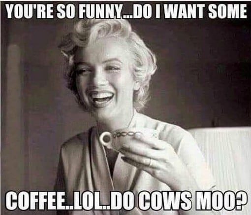 Marilyn Monroe chuckling while holding a cup of coffee, with the caption: You're so funny...Do I want some coffee...LOL...Do cows moo?