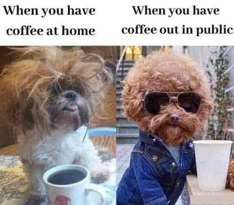 Split image with dishevelled dog on left and well-groomed poodle in jean jacket and sunglasses on the right, each with a cup of coffee but the well-groomed poodle is outside and the caption says: When you have coffee at home vs. When you have coffee out in public