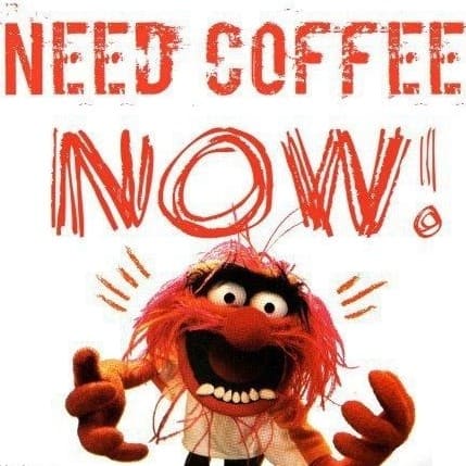 Animal from The Muppets looking crazy with caption: Need coffee now!