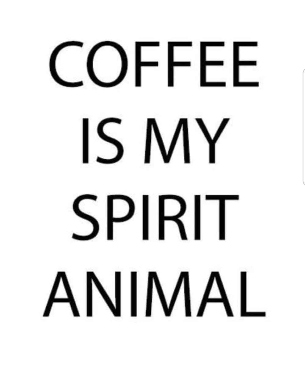 Text only reading: Coffee is my spirit animal