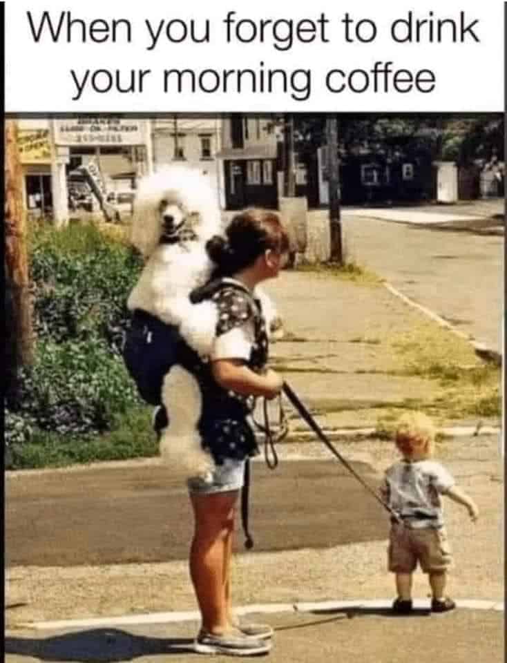 Woman with her dog riding in a carrier on her back and her toddler on a leash, with the caption: When you forget to drink your morning coffee