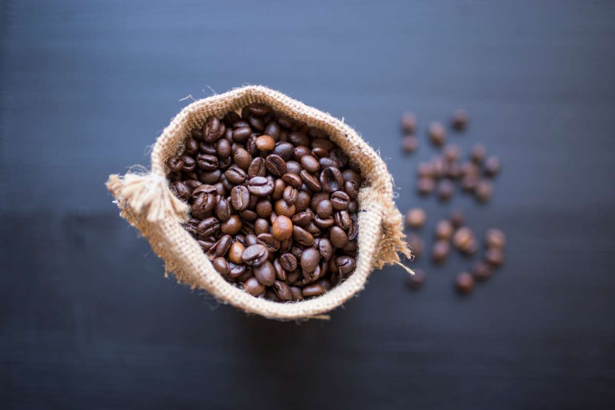 A bag of fresh coffee beans viewed from its open top